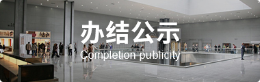 办结公示